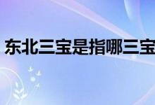 东北三宝是指哪三宝（东北三宝分别是什么）