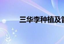 三华李种植及管理技术（三华李）