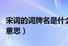 宋词的词牌名是什么意思（宋词的词牌名什么意思）