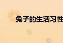 兔子的生活习性（兔子有什么习性）