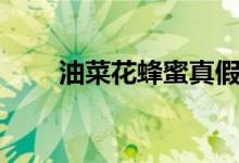 油菜花蜂蜜真假辨别（油菜花蜂蜜）