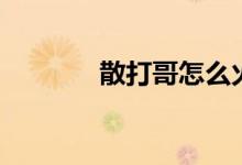 散打哥怎么火的（散打规则）