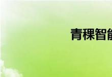 青稞智能锁（青稞）