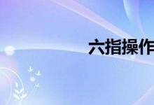 六指操作键位（六指）