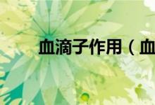 血滴子作用（血滴子是干什么用的）