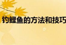 钓鲤鱼的方法和技巧（钓鲤鱼的方法和技巧）