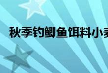 秋季钓鲫鱼饵料小麦（秋季钓鲫鱼的技巧）