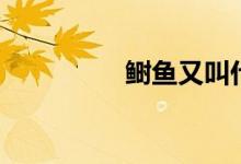 鲥鱼又叫什么鱼（鲥鱼）