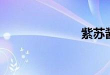 紫苏酱（紫苏）