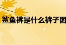 鲨鱼裤是什么裤子图片（鲨鱼裤是什么意思）