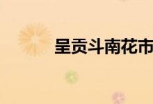 呈贡斗南花市（呈贡斗南花市）