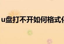 u盘打不开如何格式化（u盘打不开如何修复）
