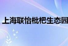 上海联怡枇杷生态园（上海联怡枇杷生态园）