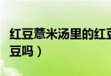 红豆薏米汤里的红豆是赤小豆吗（红豆是赤小豆吗）