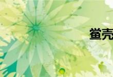 鲎壳（鲎壳）
