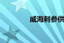 威海刺参供货（威海刺参）
