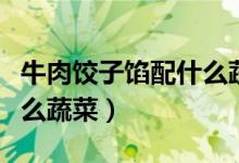 牛肉饺子馅配什么蔬菜好吃（牛肉饺子馅配什么蔬菜）