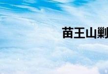 苗王山剿匪记（苗王）