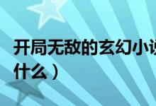 开局无敌的玄幻小说（开局无敌的玄幻小说有什么）