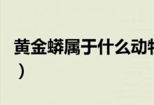 黄金蟒属于什么动物（黄金蟒是几级保护动物）