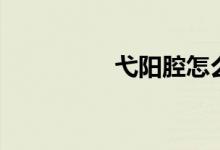 弋阳腔怎么读（弋阳腔）