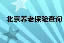 北京养老保险查询 北京个人养老保险查询