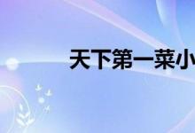 天下第一菜小说（天下第一菜）
