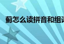 蓟怎么读拼音和组词（蓟怎么读（图文））