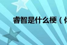 睿智是什么梗（你是个睿智是什么梗）