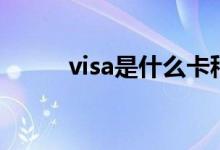 visa是什么卡种（visa是什么卡）