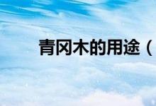 青冈木的用途（青冈木可以做什么）