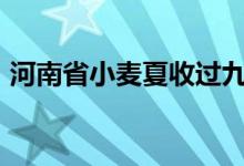 河南省小麦夏收过九成已收获小麦7750万亩