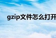gzip文件怎么打开（gzip文件怎么打开）