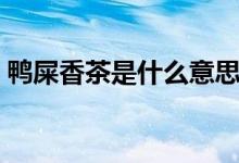 鸭屎香茶是什么意思（鸭屎香指的是什么茶）