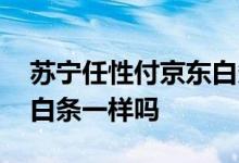 苏宁任性付京东白条还有什么 苏宁任性付和白条一样吗