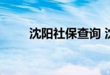 沈阳社保查询 沈阳个人社保卡查询