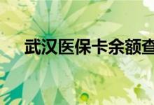 武汉医保卡余额查询 武汉医疗保险查询