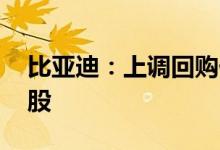 比亚迪：上调回购价格上限至不超过400元/股
