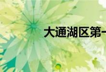 大通湖区第一中学（大通湖）