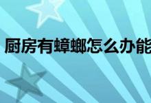 厨房有蟑螂怎么办能除根（驱赶蟑螂的方法）