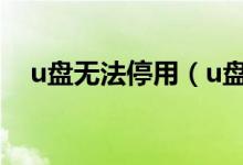 u盘无法停用（u盘无法停止应该怎么办）