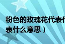 粉色的玫瑰花代表什么意义（粉色的玫瑰花代表什么意思）