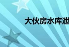 大伙房水库泄洪（大伙房水库）
