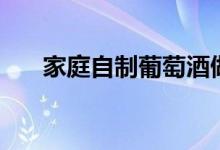 家庭自制葡萄酒做法（葡萄酒怎么做）