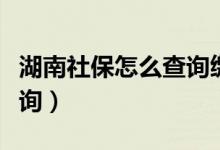 湖南社保怎么查询缴费记录（湖南社保怎么查询）