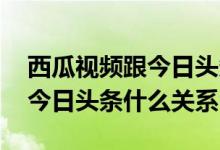 西瓜视频跟今日头条有什么关系 西瓜视频和今日头条什么关系