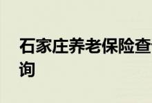 石家庄养老保险查询 石家庄个人养老保险查询