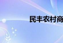 民丰农村商业银行（民丰）