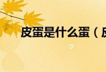 皮蛋是什么蛋（皮蛋是用什么蛋做的）
