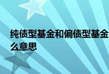 纯债型基金和偏债型基金哪个风险高? 纯债型偏债基金是什么意思